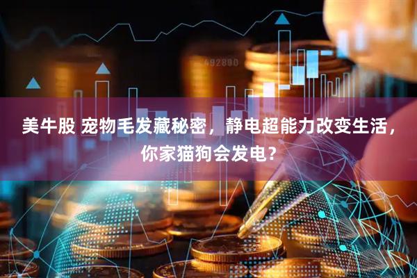 美牛股 宠物毛发藏秘密，静电超能力改变生活，你家猫狗会发电？